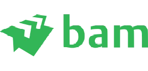 BAM Logo